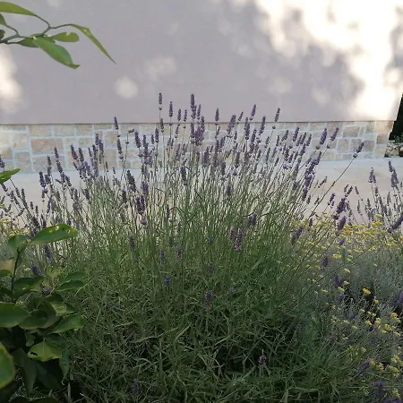 فيلة Amazing 4 Bedroom With Swimming Pool And Wifi, Family Frendly Tribalj (Primorsko-Goranska)