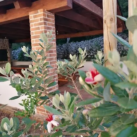 Amazing 4 Bedroom With Swimming Pool And Wifi, Family Frendly