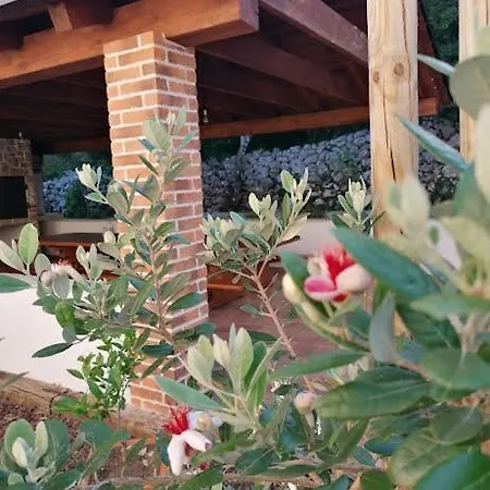 Amazing 4 Bedroom With Swimming Pool And Wifi, Family Frendly