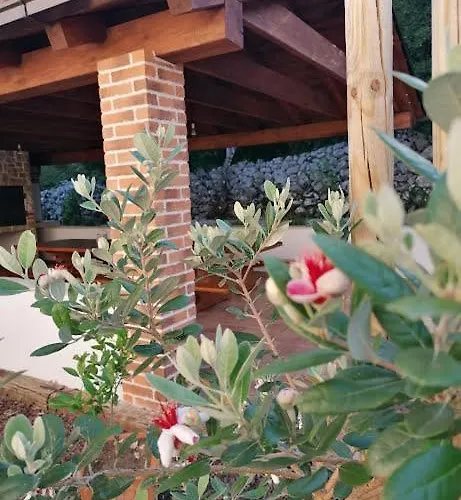 Amazing 4 Bedroom With Swimming Pool And Wifi, Family Frendly